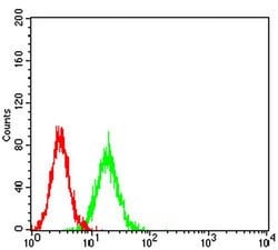 Invitrogen BCMA Monoclonal Antibody (1D12G9) 100 &mu;L; Unconjugated:Antibodies,