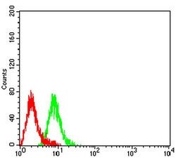 Invitrogen CD3g Monoclonal Antibody (5B7F9) 100 &mu;L; Unconjugated:Antibodies,