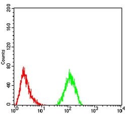 Invitrogen CFHR5 Monoclonal Antibody (3E1E10) 100 &mu;L; Unconjugated:Antibodies,