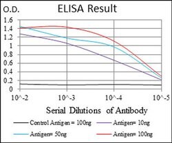 Invitrogen FLIP Monoclonal Antibody (7A3D12) 100 &mu;L; Unconjugated:Antibodies,