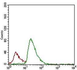 Invitrogen FLIP Monoclonal Antibody (7A3D12) 100 &mu;L; Unconjugated:Antibodies,