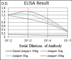 Invitrogen FLIP Monoclonal Antibody (6G11A6) 100 &mu;L; Unconjugated:Antibodies,