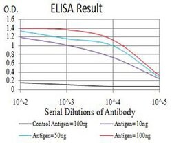 Invitrogen CHRNA3 Monoclonal Antibody (6D3A10) 100 &mu;L; Unconjugated:Antibodies,