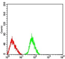 Invitrogen CHRNA3 Monoclonal Antibody (6D3A10) 100 &mu;L; Unconjugated:Antibodies,