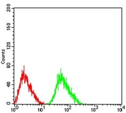 Invitrogen CHRNA5 Monoclonal Antibody (2D2D10) 100 &mu;L | Buy Online | Invitrogen&trade; | Fisher Scientific
