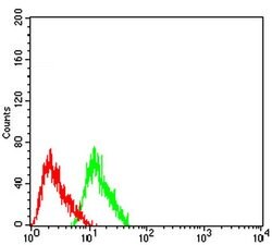 Invitrogen CHRNA7 Monoclonal Antibody (7F10F1) 100 &mu;L; Unconjugated:Antibodies,
