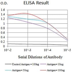 Invitrogen CHRNB3 Monoclonal Antibody (7C9F12) 100 &mu;L; Unconjugated:Antibodies,