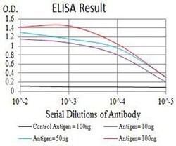 Invitrogen CHRNB4 Monoclonal Antibody (7F5B2) 100 &mu;L; Unconjugated:Antibodies,