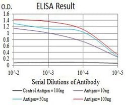 Invitrogen CHRNB4 Monoclonal Antibody (1H11F2) 100 &mu;L; Unconjugated:Antibodies,