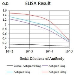 Invitrogen CHRNE Monoclonal Antibody (5F11G8) 100 &mu;L; Unconjugated:Antibodies,