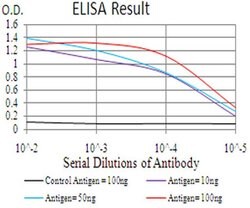 Invitrogen CIDEC Monoclonal Antibody (7C12F11) 100 &mu;L; Unconjugated:Antibodies,