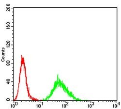 Invitrogen CIDEC Monoclonal Antibody (7C12F11) 100 &mu;L; Unconjugated:Antibodies,
