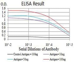 Invitrogen CIRBP Monoclonal Antibody (6E12D5) 100 &mu;L; Unconjugated:Antibodies,