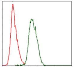 Invitrogen COTL1 Monoclonal Antibody (5C8E3) 100 &mu;L; Unconjugated:Antibodies,
