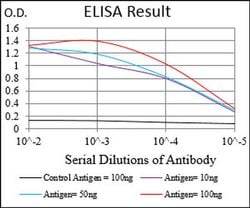 Invitrogen CK2 beta Monoclonal Antibody (2F12F3) 100 &mu;L | Buy Online | Invitrogen&trade; | Fisher Scientific