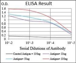 Invitrogen CTNNBL1 Monoclonal Antibody (2H10F11) 100 &mu;L; Unconjugated:Antibodies,