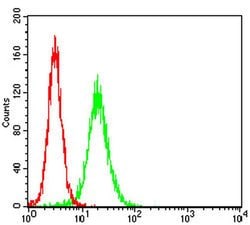 Invitrogen CTNNBL1 Monoclonal Antibody (2H10F11) 100 &mu;L; Unconjugated:Antibodies,