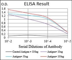 Invitrogen ZIPK Monoclonal Antibody (4H4C8) 100 &mu;L; Unconjugated:Antibodies,