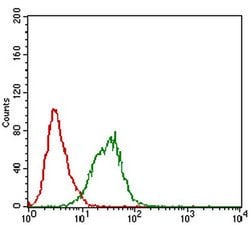 Invitrogen ZIPK Monoclonal Antibody (4H4C8) 100 &mu;L; Unconjugated:Antibodies,