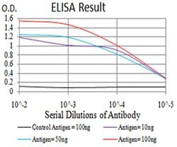 Invitrogen DDX1 Monoclonal Antibody (3E5B2) 100 &mu;L; Unconjugated:Antibodies,