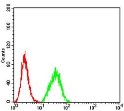 Invitrogen DDX1 Monoclonal Antibody (3E5B2) 100 &mu;L; Unconjugated:Antibodies,