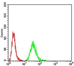 Invitrogen Gemin 3 Monoclonal Antibody (1C9F6) 100 &mu;L; Unconjugated:Antibodies,