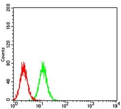 Invitrogen RIG-I Monoclonal Antibody (4G1B6) 100 &mu;L; Unconjugated:Antibodies,