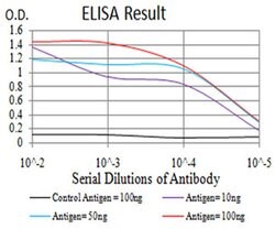 Invitrogen LGP2 Monoclonal Antibody (3E11F1) 100 &mu;L; Unconjugated:Antibodies,