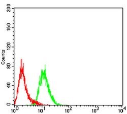 Invitrogen LGP2 Monoclonal Antibody (3E11F1) 100 &mu;L; Unconjugated:Antibodies,