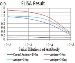 Invitrogen LGP2 Monoclonal Antibody (6A6A3) 100 &mu;L; Unconjugated:Antibodies,