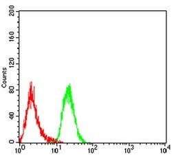 Invitrogen LGP2 Monoclonal Antibody (6A6A3) 100 &mu;L; Unconjugated:Antibodies,