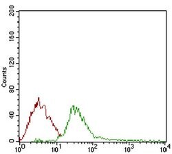 Invitrogen DIS3L2 Monoclonal Antibody (6C7B2) 100 &mu;L; Unconjugated:Antibodies,