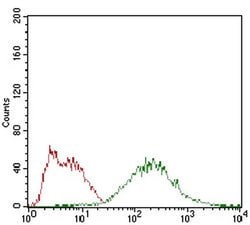 Invitrogen EIF2A Monoclonal Antibody (3A7B11) 100 &mu;L; Unconjugated:Antibodies,