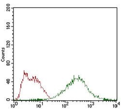 Invitrogen EIF2A Monoclonal Antibody (3A7A8) 100 &mu;L; Unconjugated:Antibodies,
