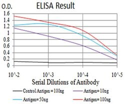 Invitrogen eIF5 Monoclonal Antibody (6D6H11) 100 &mu;L; Unconjugated:Antibodies,