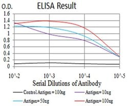 Invitrogen eIF5 Monoclonal Antibody (6D6G6) 100 &mu;L; Unconjugated:Antibodies,