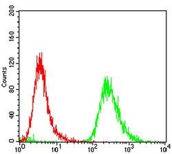 Invitrogen Epsin 1 Monoclonal Antibody (6F7F9) 100 &mu;L; Unconjugated:Antibodies,