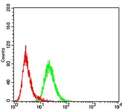 Invitrogen FBXL10 Monoclonal Antibody (6F6G11) 100 &mu;L; Unconjugated:Antibodies,