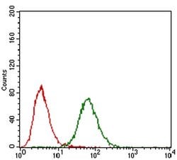 Invitrogen FGF4 Monoclonal Antibody (2D7D5) 100 &mu;L; Unconjugated:Antibodies,