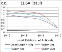 Invitrogen FUT4 Monoclonal Antibody (6B11B4) 100 &mu;L; Unconjugated:Antibodies,
