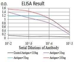 Invitrogen GFPT1 Monoclonal Antibody (1F1A4) 100 &mu;L; Unconjugated:Antibodies,