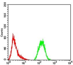Invitrogen GFPT1 Monoclonal Antibody (1F1B9) 100 &mu;L; Unconjugated:Antibodies,