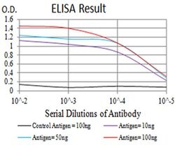 Invitrogen GLRB Monoclonal Antibody (3B8A8) 100 &mu;L; Unconjugated:Antibodies,