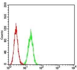 Invitrogen GLRB Monoclonal Antibody (3B8A8) 100 &mu;L; Unconjugated:Antibodies,