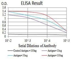 Invitrogen GRIK4 Monoclonal Antibody (8H5G5) 100 &mu;L; Unconjugated:Antibodies,
