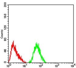 Invitrogen GRIK4 Monoclonal Antibody (8H5G5) 100 &mu;L; Unconjugated:Antibodies,