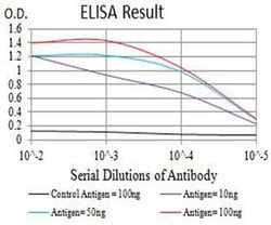 Invitrogen GRIK4 Monoclonal Antibody (8H5H9) 100 &mu;L; Unconjugated:Antibodies,