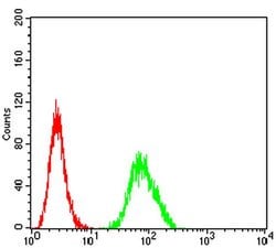 Invitrogen GRIK4 Monoclonal Antibody (8H5H9) 100 &mu;L; Unconjugated:Antibodies,