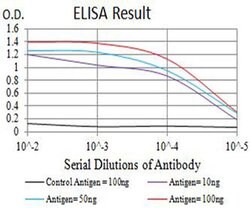 Invitrogen mGluR3 Monoclonal Antibody (7A5A6) 100 &mu;L; Unconjugated:Antibodies,