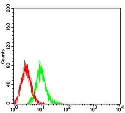 Invitrogen mGluR6 Monoclonal Antibody (7D9C9) 100 &mu;L; Unconjugated:Antibodies,